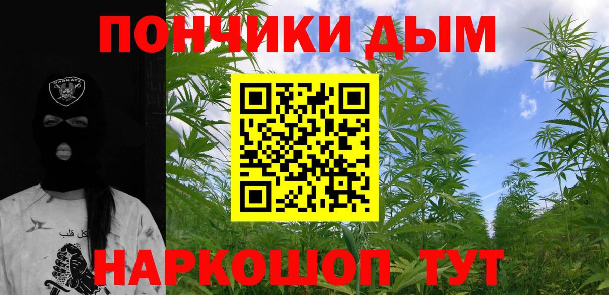 МАРИХУАНА сатива Лениногорск